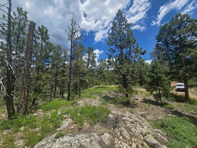 a big yard with lots of green space and fountain