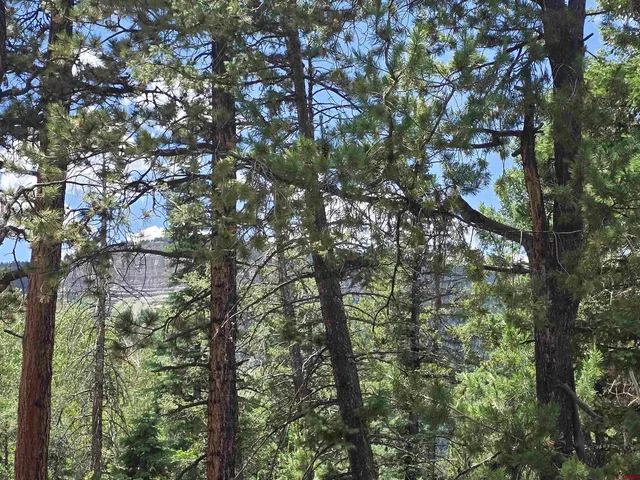 a view of a city with lush green forest