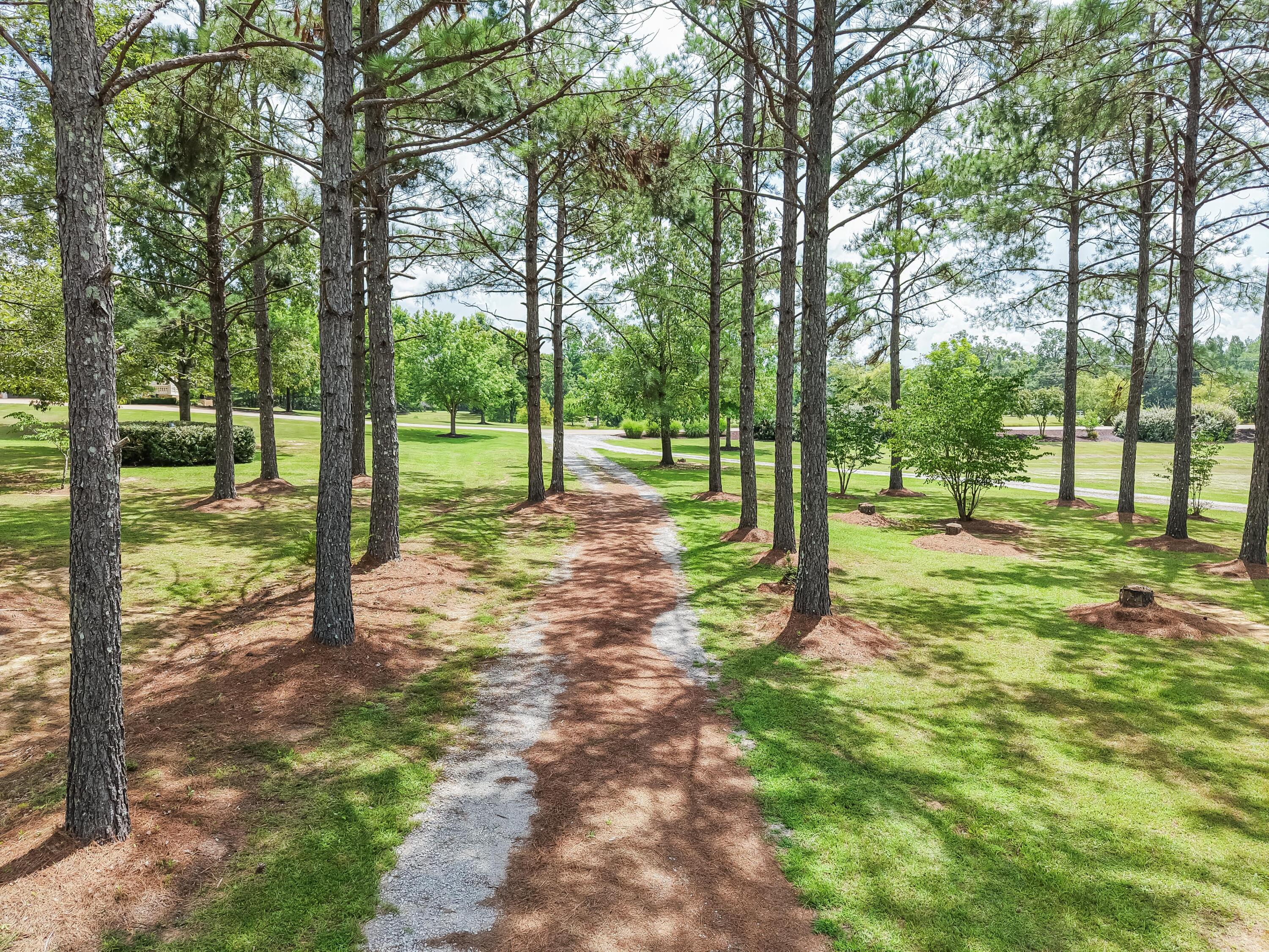 249 State Line Road Michie, TN 38357 - Photo 114 of 126 Gallery Image 114
