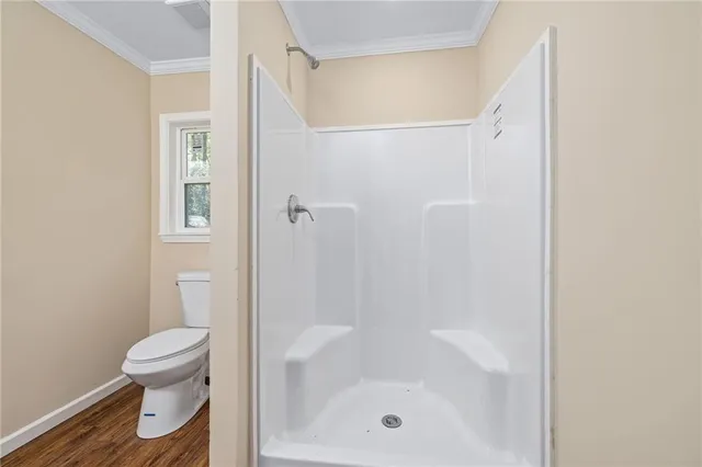 a bathroom with a shower and toilet