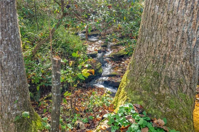 a plant that is in middle of garden