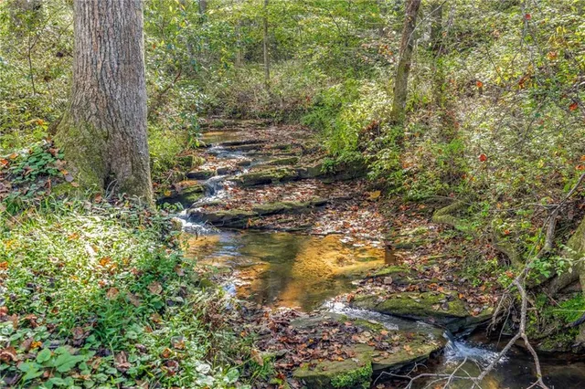a view of a yard with plants and large trees