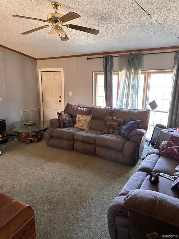 21171 West 6 Mile Road Reed City, MI 49677 - Photo 2 of 21
