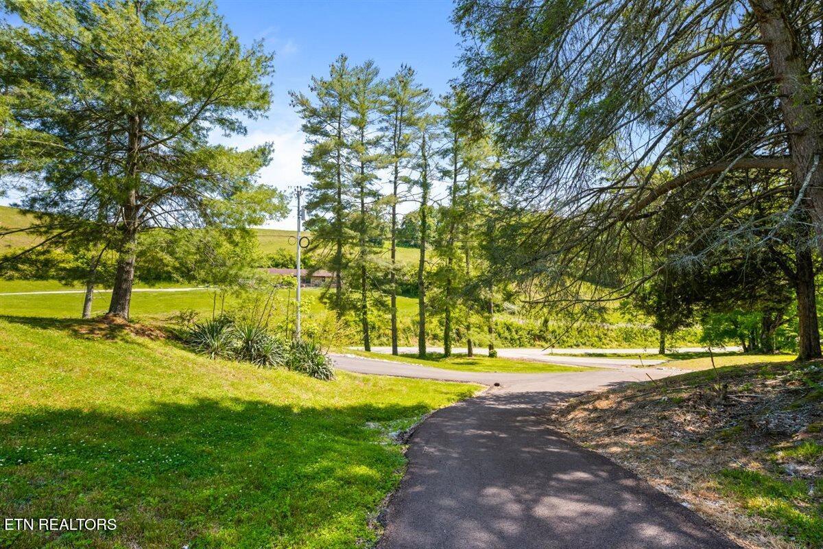 542 Whitman Hollow Road La Follette, TN 37766 - Photo 28 of 59 34-542 Whitman Hollow Rd