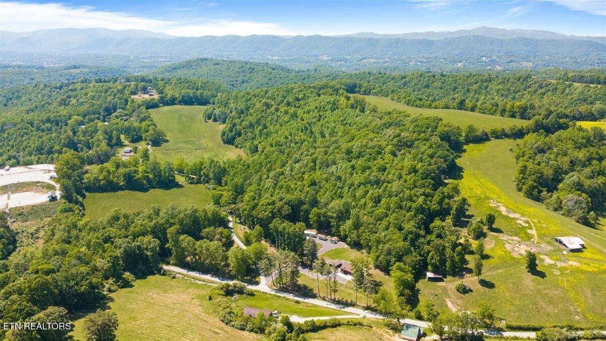 542 Whitman Hollow Road La Follette, TN 37766 - Photo 55 of 59 68-542 Whitman Hollow Rd