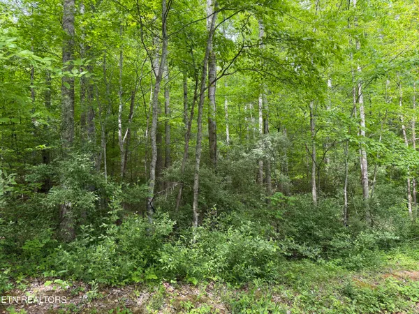 $748,500 | 542 Whitman Hollow Road, La Follette, TN 37766