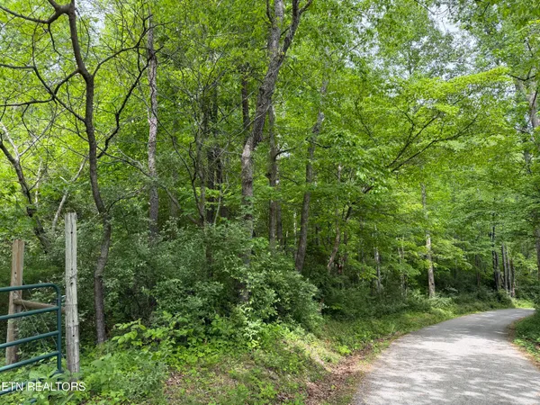 $748,500 | 542 Whitman Hollow Road, La Follette, TN 37766