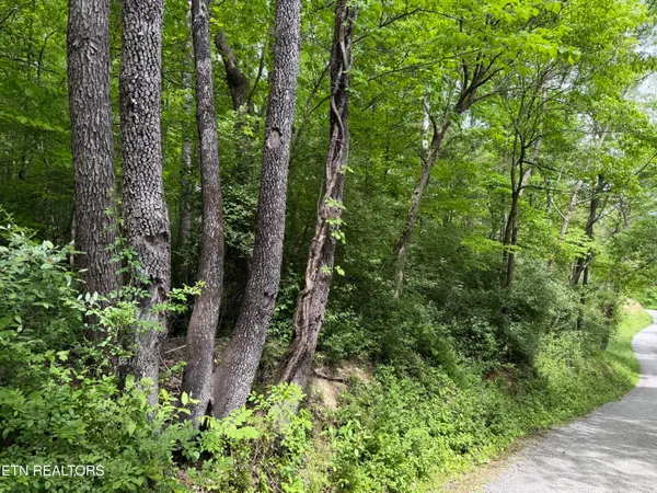 $748,500 | 542 Whitman Hollow Road, La Follette, TN 37766