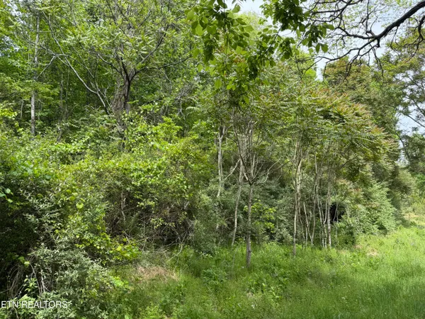 $748,500 | 542 Whitman Hollow Road, La Follette, TN 37766