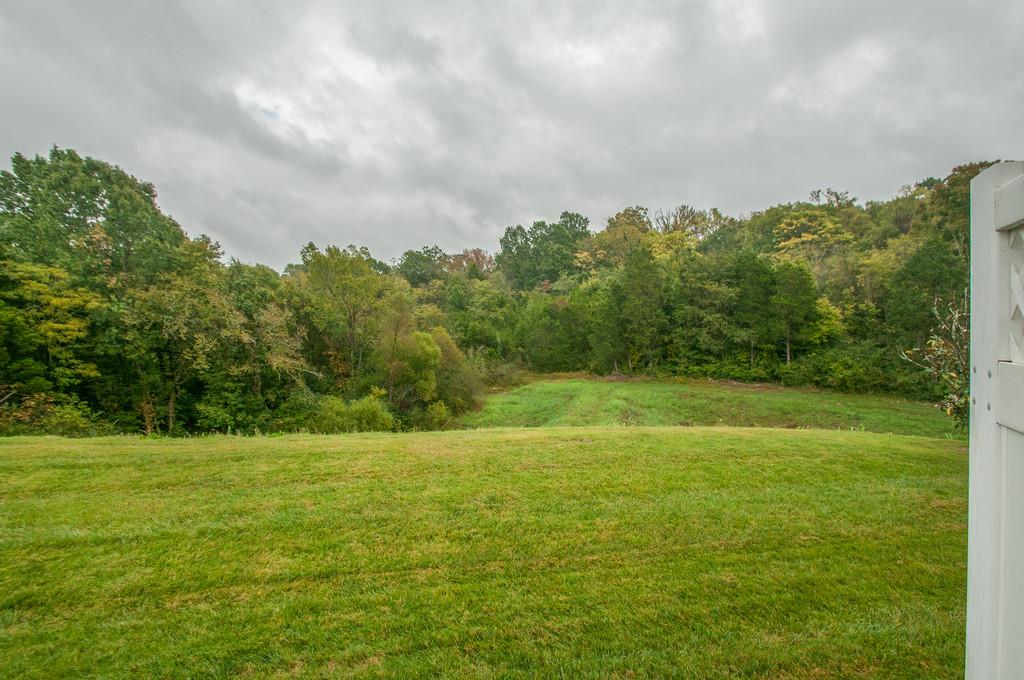 2014 Shaylin Loop Antioch, TN 37013 - Photo 25 of 25 Gallery Image 25