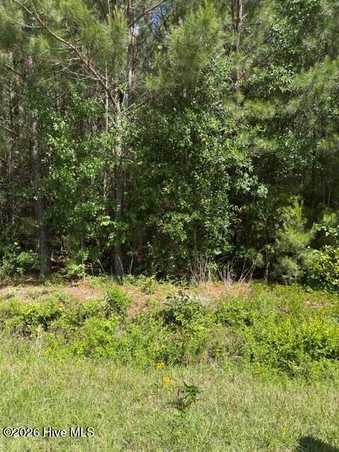0 Beattys Bridge Road Atkinson, NC 28421 - Photo 2 of 4 Pic Beatty Bridge 2