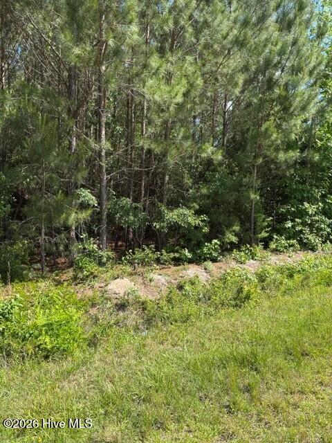 0 Beattys Bridge Road Atkinson, NC 28421 - Photo 3 of 4 Pic Beattys Brige 3
