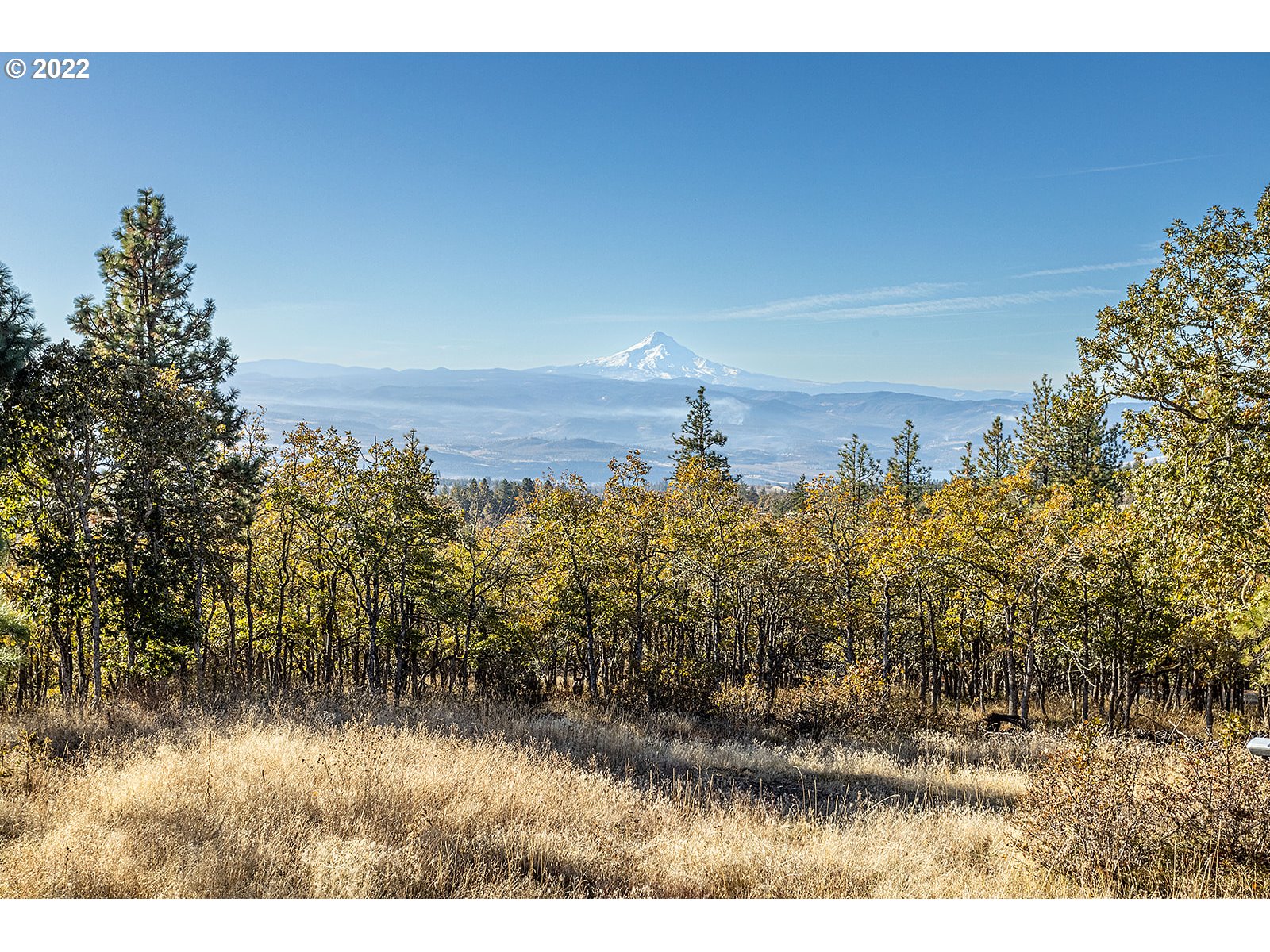 4 Ridge Crest Road Lyle, WA 98635 - Photo 15 of 32 Gallery Image 15