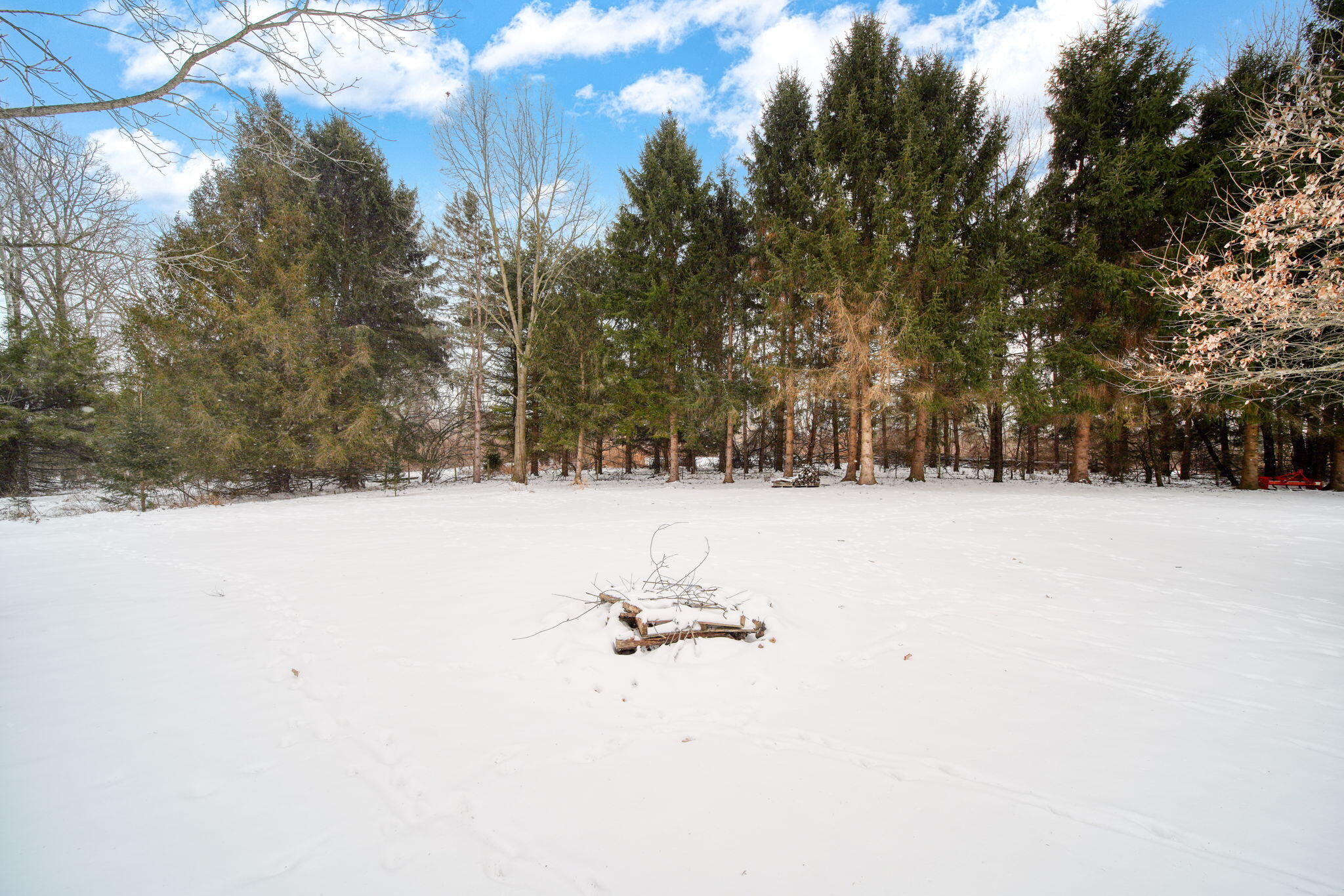 6117 Kennedy Road Munith, MI 49259 - Photo 40 of 59 41-web-or-mls-DSC08873_HDR