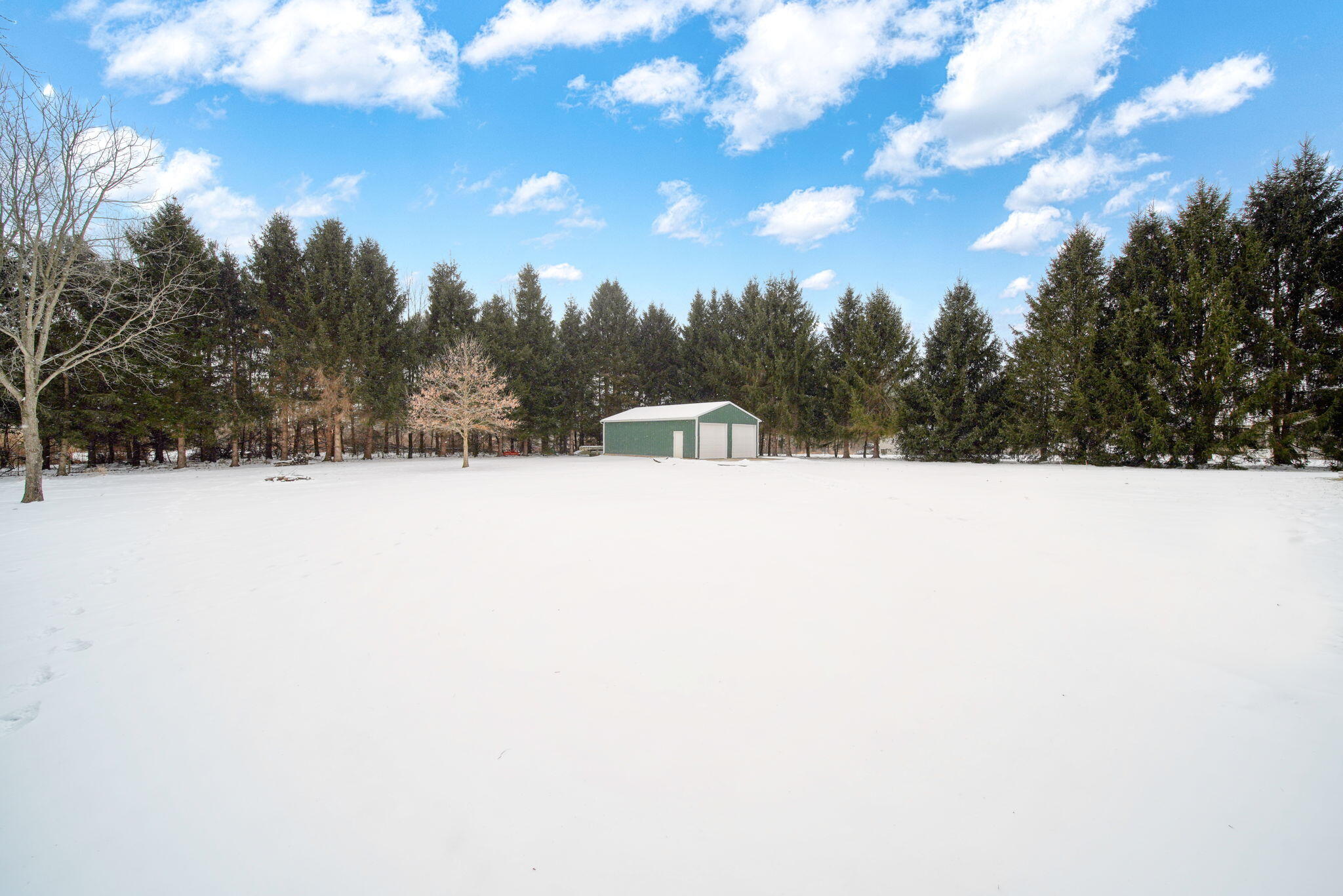 6117 Kennedy Road Munith, MI 49259 - Photo 42 of 59 43-web-or-mls-DSC08883_HDR