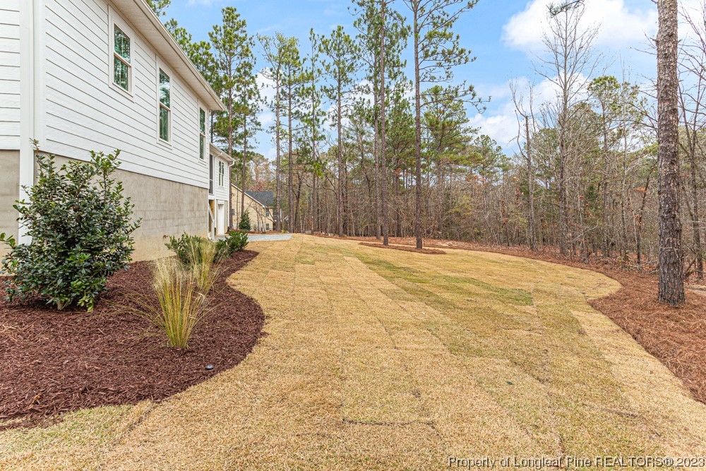 1365 McCaskill Road Carthage, NC 28327 - Photo 49 of 50 a view of outdoor space with trees