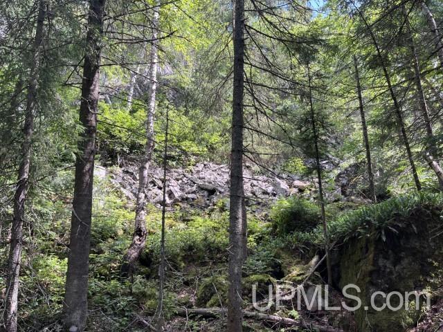 20-acres Willow Creek Road Negaunee, MI 49866 - Photo 10 of 17