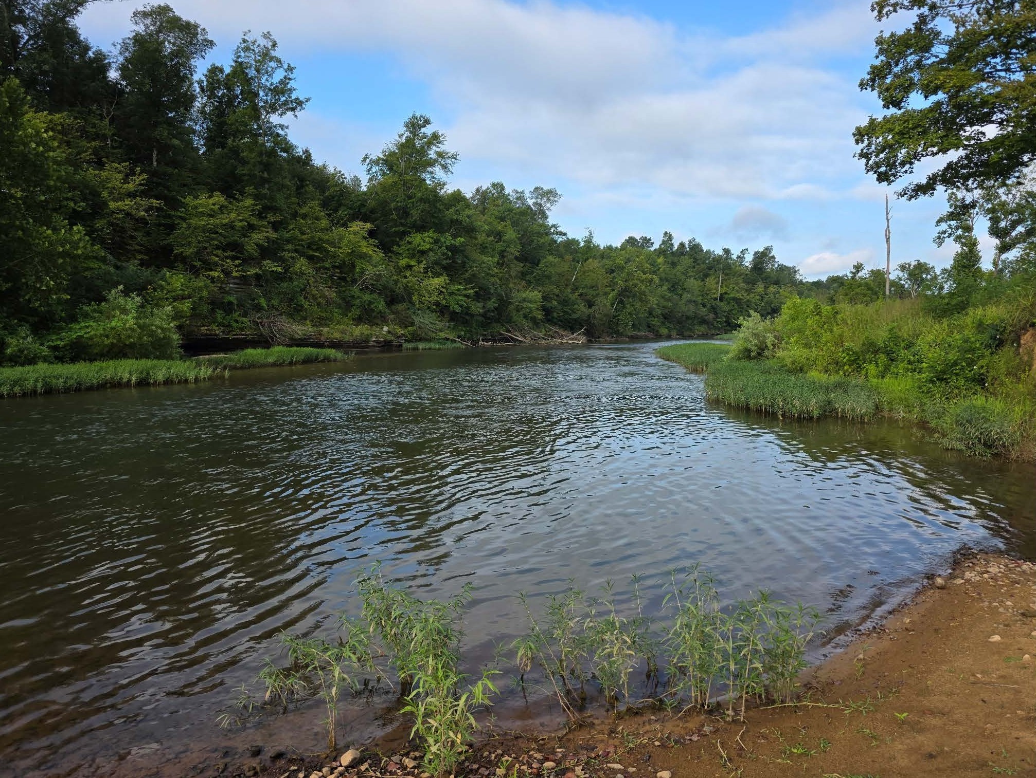 7209 Topsy Road Waynesboro, TN 38485 - Photo 4 of 25 a view of a lake view