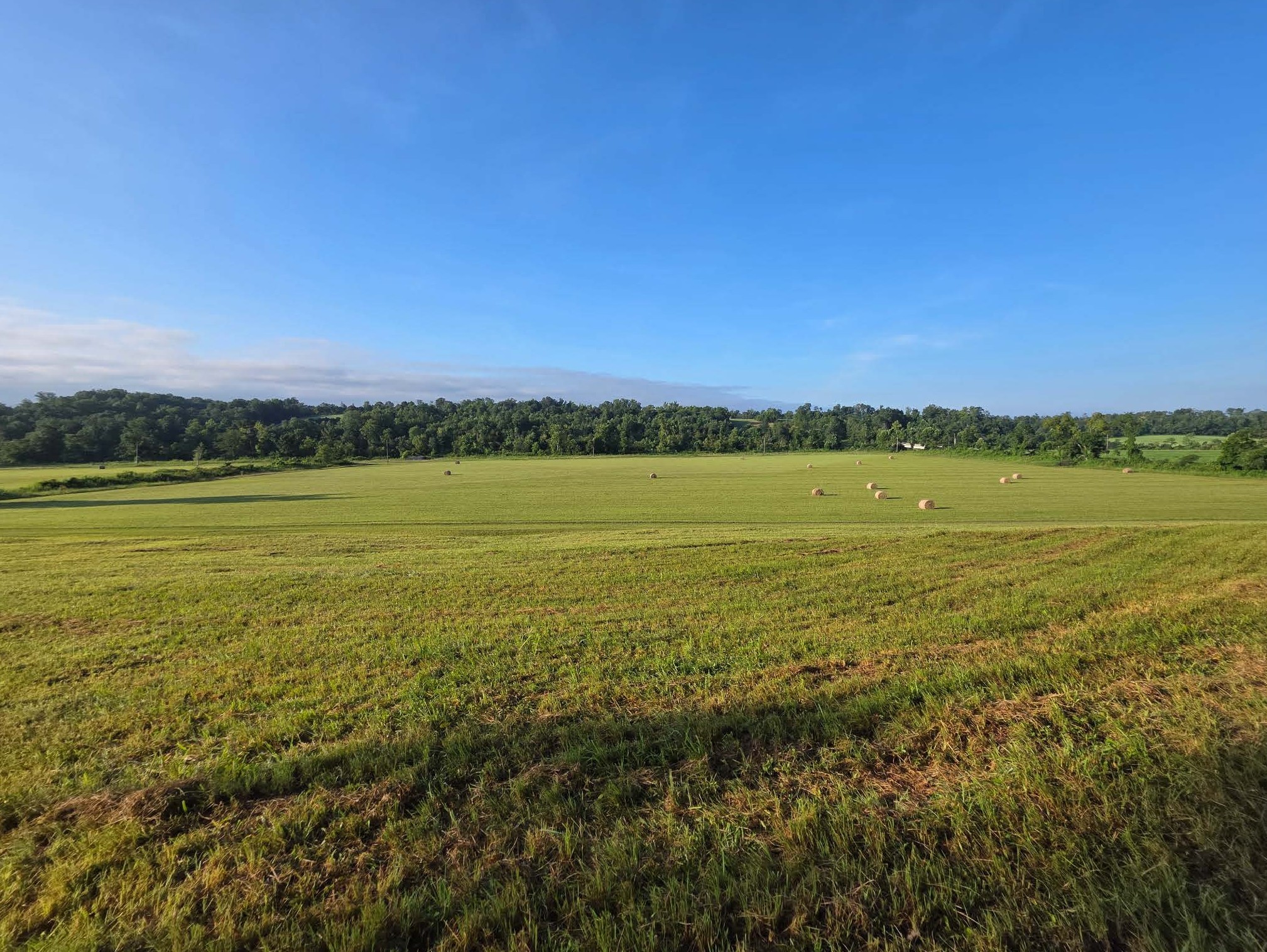 7209 Topsy Road Waynesboro, TN 38485 - Photo 5 of 25 a view of an ocean and city