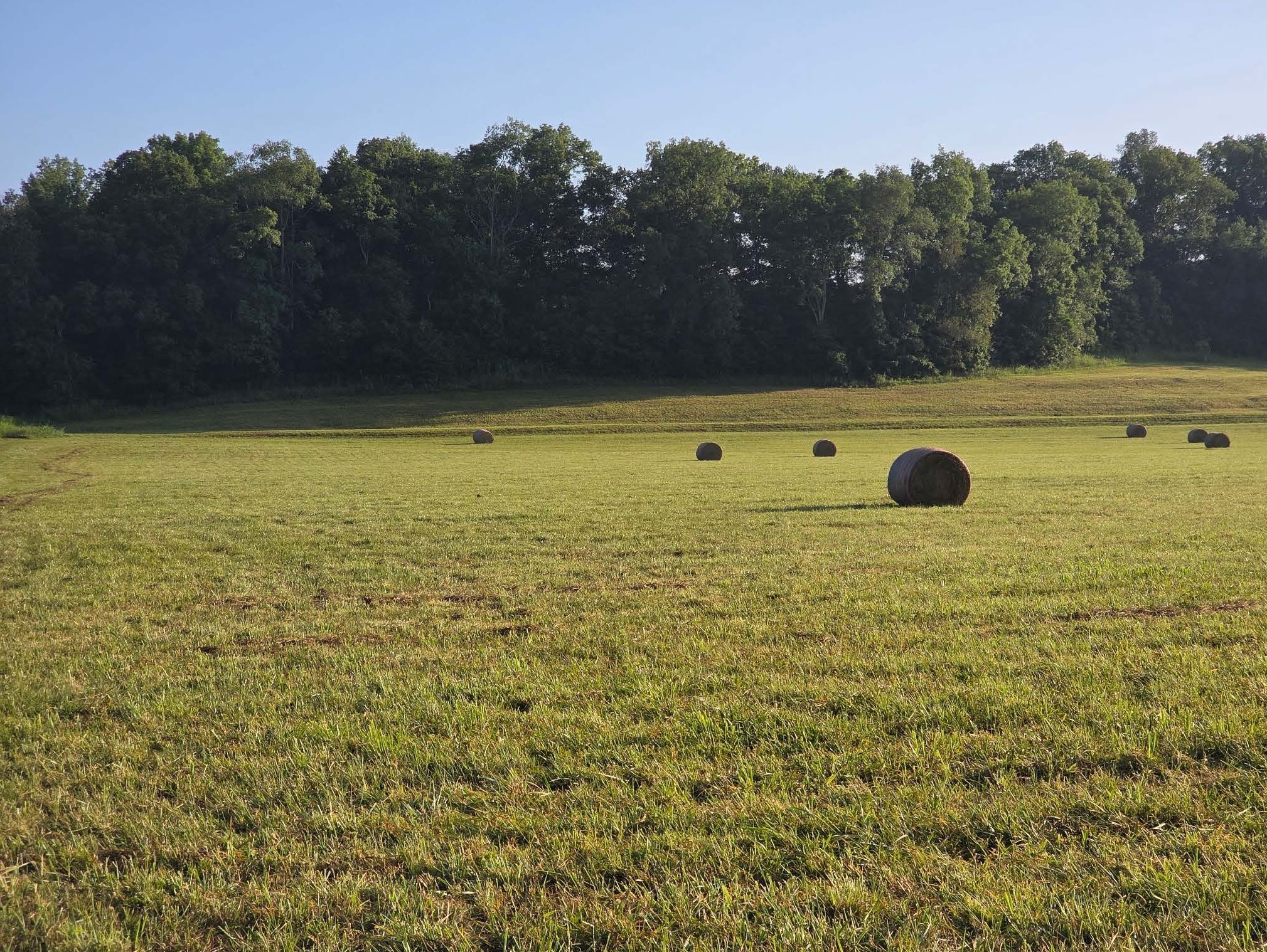7209 Topsy Road Waynesboro, TN 38485 - Photo 6 of 25 a view of a swimming pool