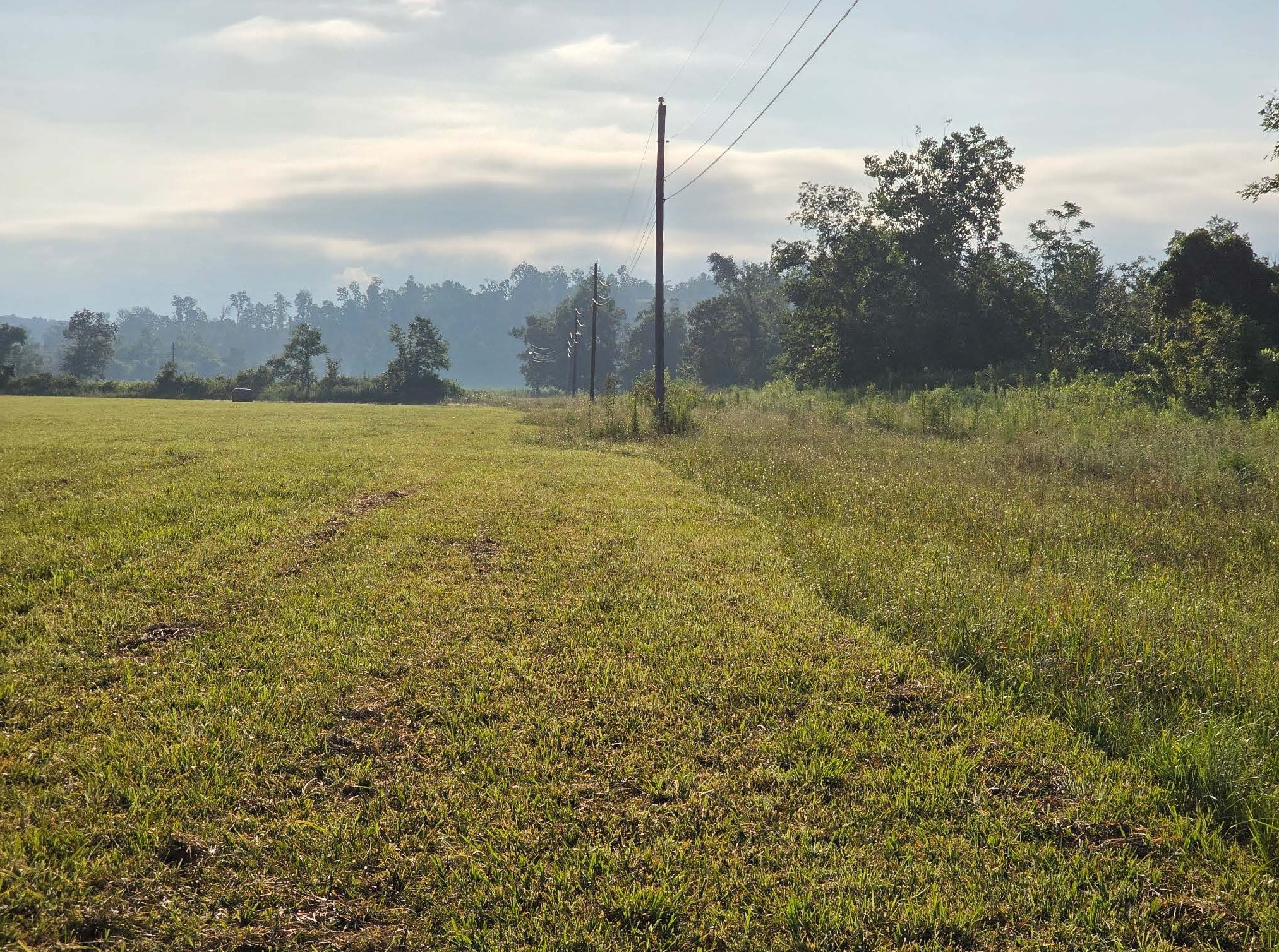 7209 Topsy Road Waynesboro, TN 38485 - Photo 7 of 25 a view of a field with an ocean