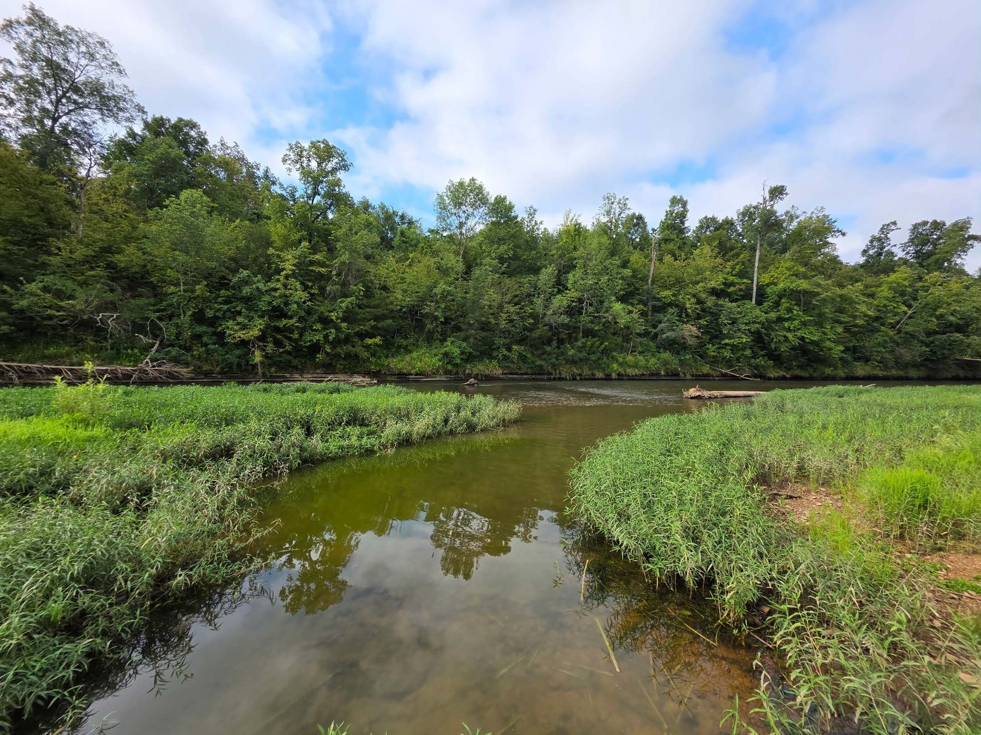 7209 Topsy Road Waynesboro, TN 38485 - Photo 9 of 25 a view of a lake with houses in the back