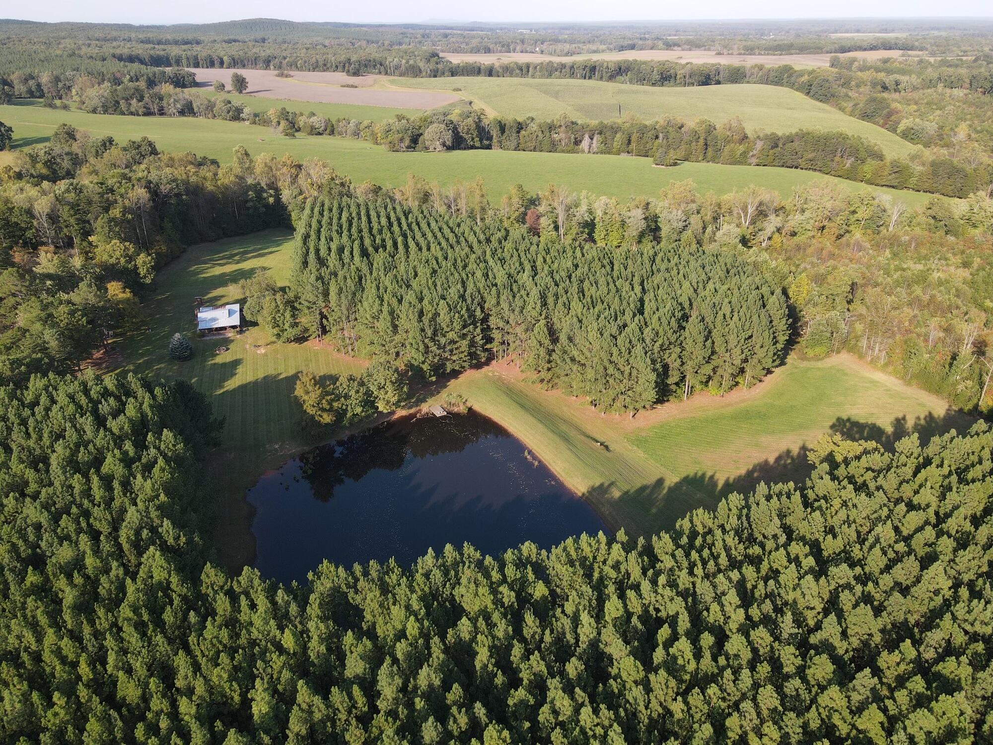 521 Piney Grove Road Gretna, VA 24557 - Photo 3 of 18 Aerial View of Cabin tucked in the pines