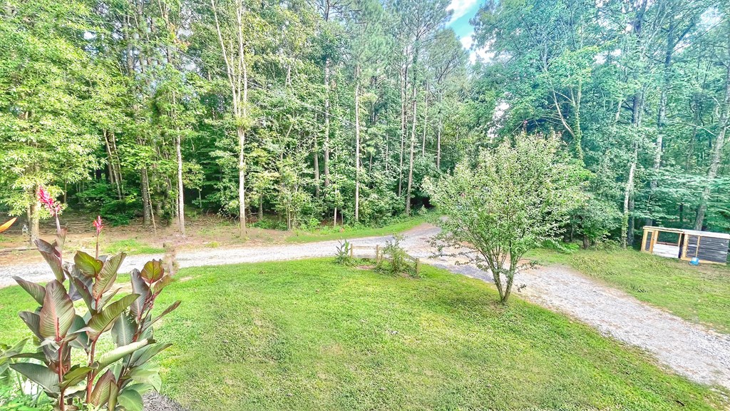 1186 Berry Bennett Road Chatsworth, GA 30705 - Photo 14 of 49 Gallery Image 14