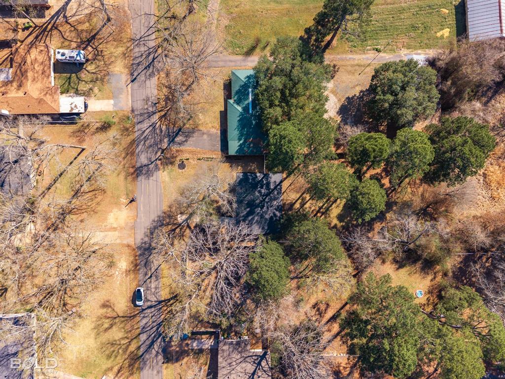 1211 Lee Street Benton, LA 71006 - Photo 33 of 39 a view of a yard with plants and large trees