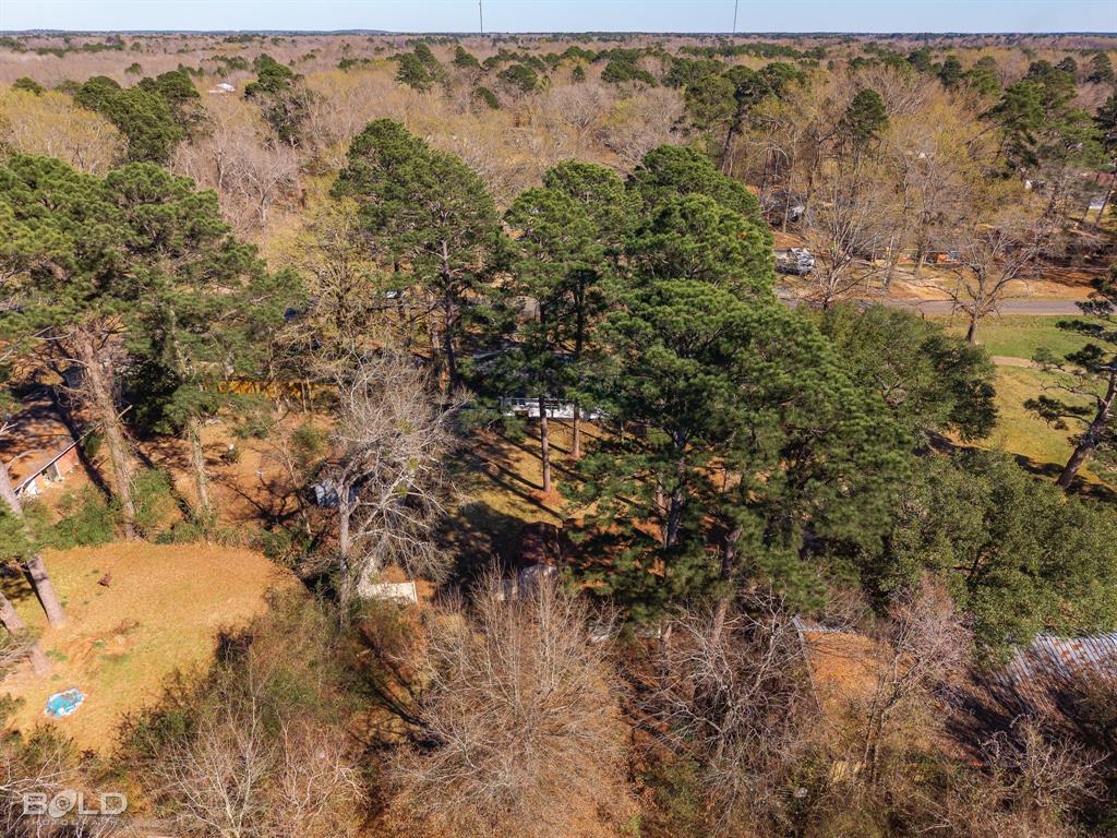 1211 Lee Street Benton, LA 71006 - Photo 36 of 39 a view of a forest with a tree