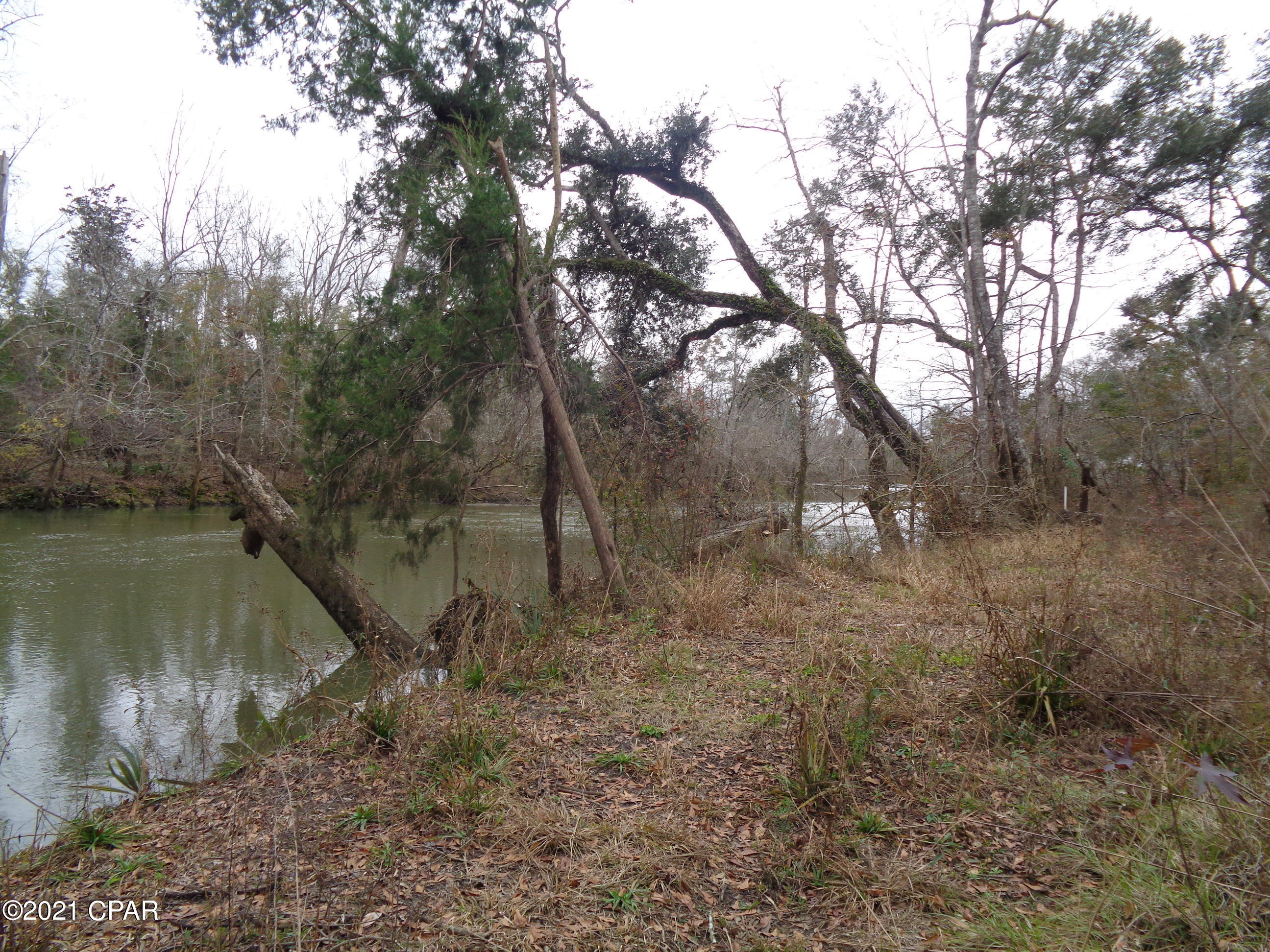 4621 Cook Road Marianna, FL 32448 - Photo 3 of 6 Gallery Image 3