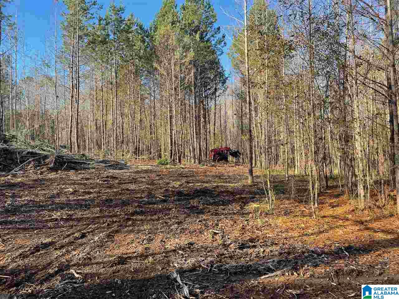 133 Sargent Road Pell City, AL 35125 - Photo 1 of 2