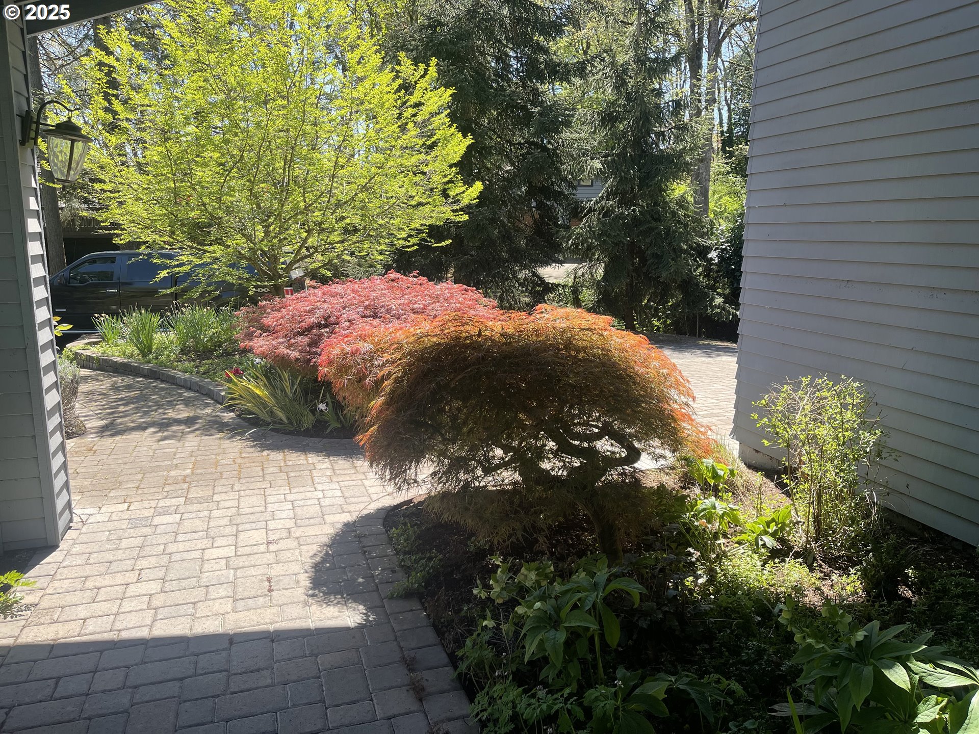 2280 Tabor Street Eugene, OR 97401 - Photo 4 of 47