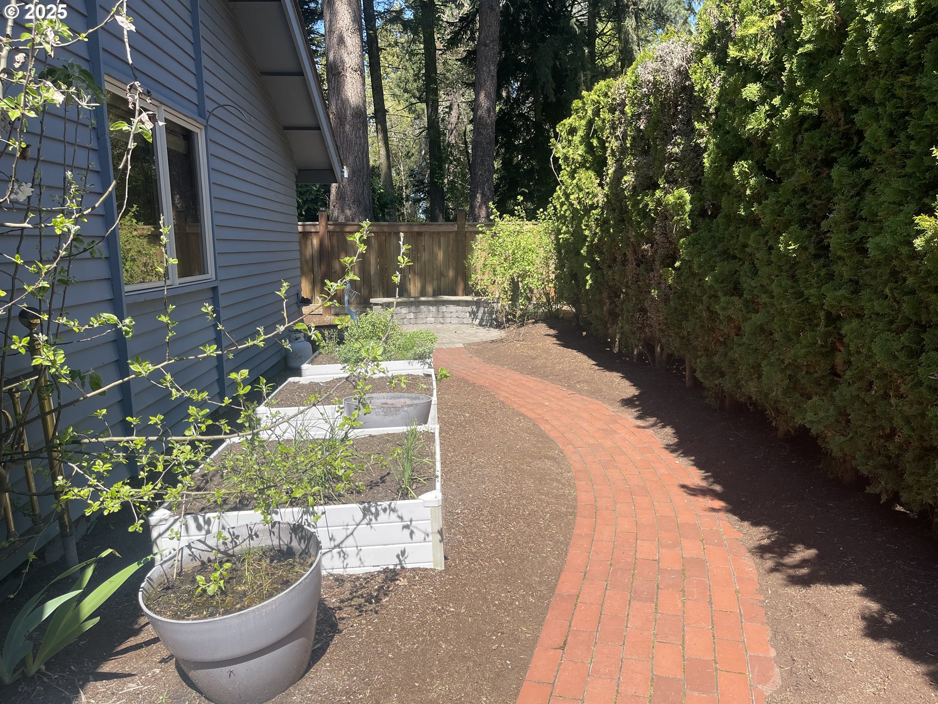 2280 Tabor Street Eugene, OR 97401 - Photo 45 of 47 Backyard