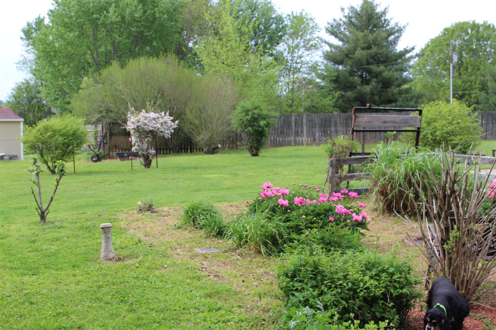 804 Branch Bend Road Clarksville, TN 37040 - Photo 11 of 16 Gallery Image 11