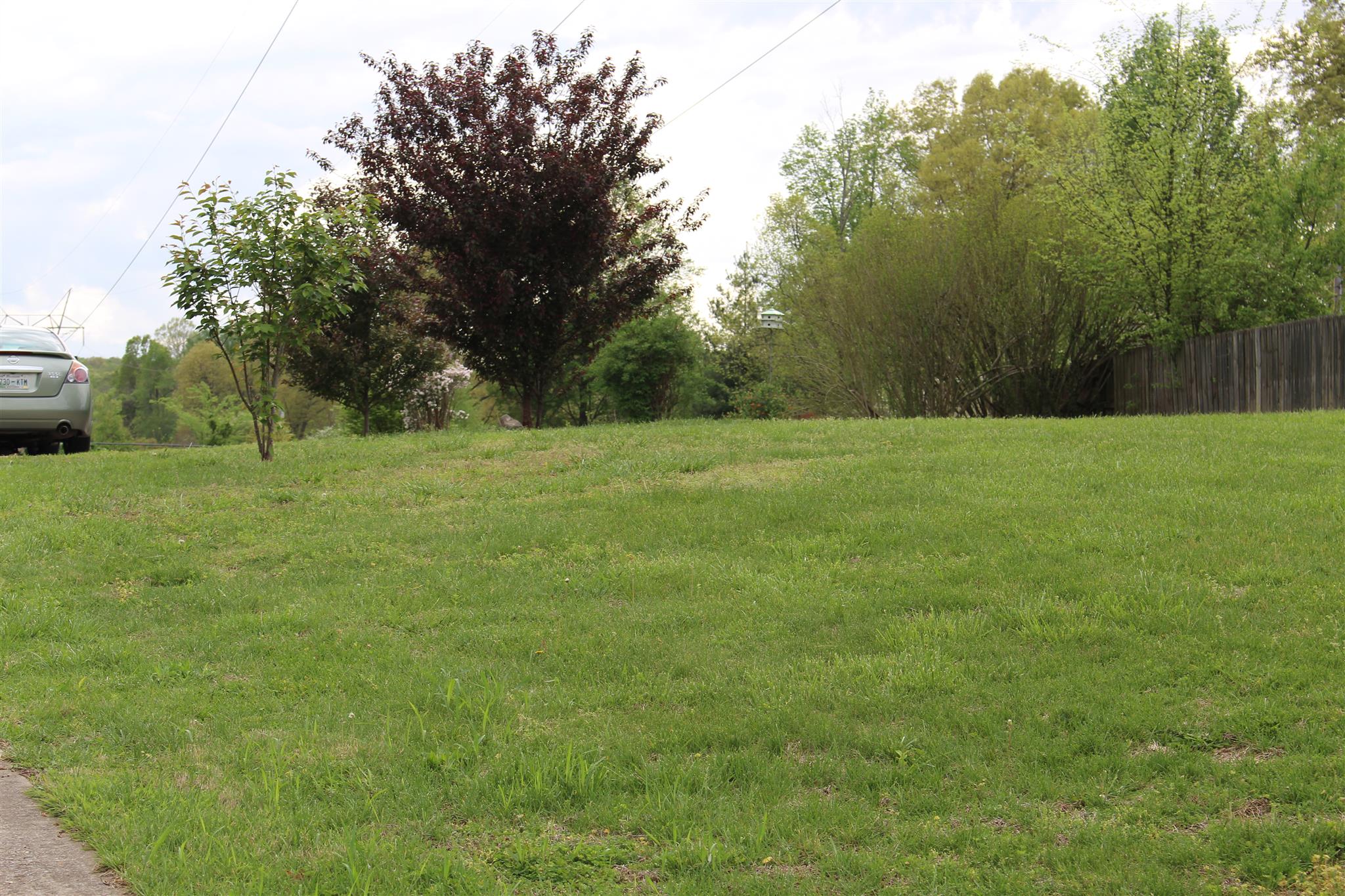 804 Branch Bend Road Clarksville, TN 37040 - Photo 13 of 16 Side yard