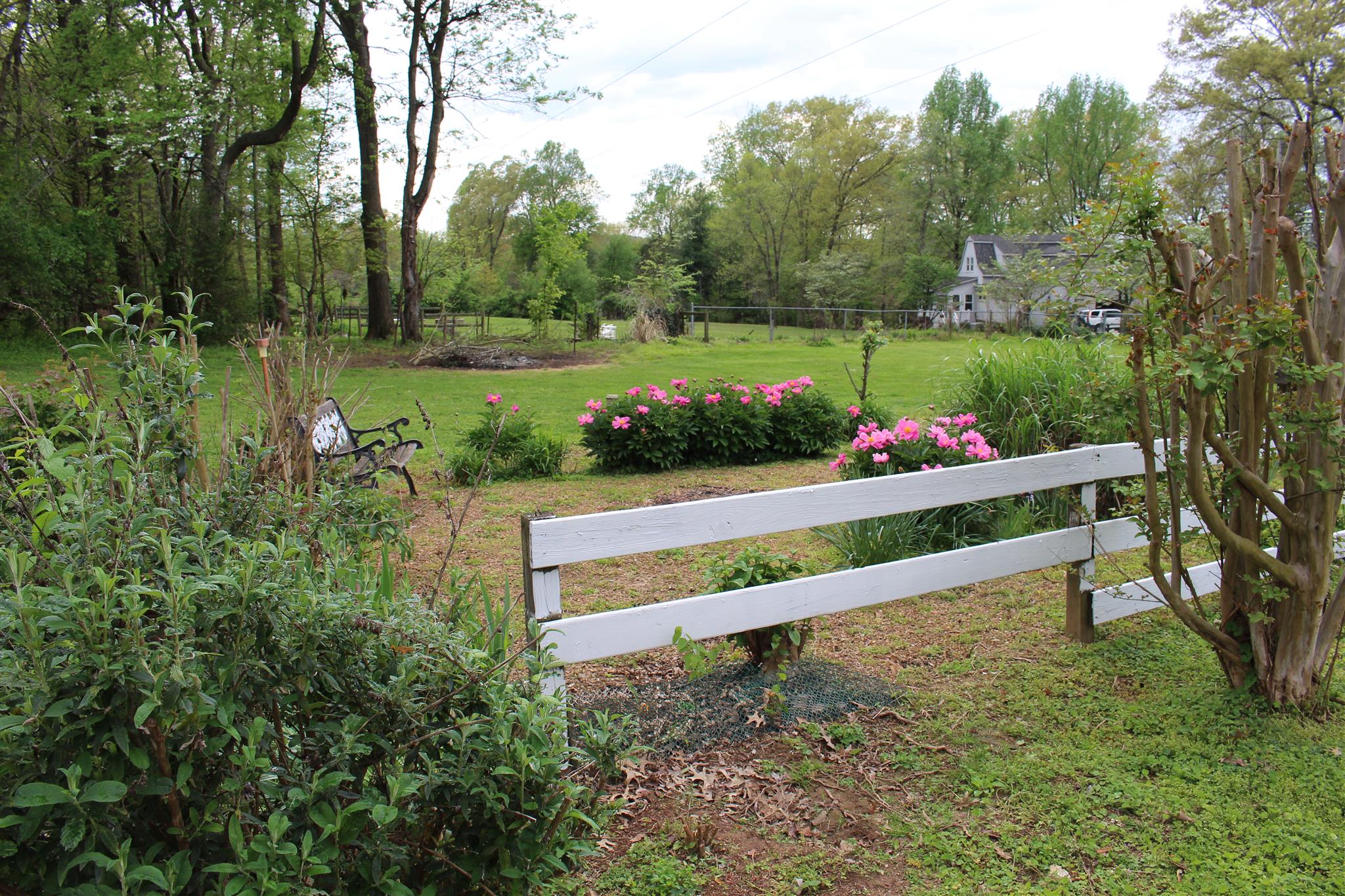 804 Branch Bend Road Clarksville, TN 37040 - Photo 10 of 16 Beautiful Flower garden