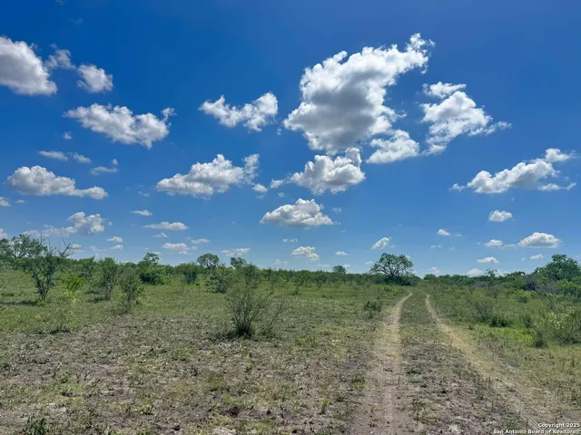 a view of a field with an trees