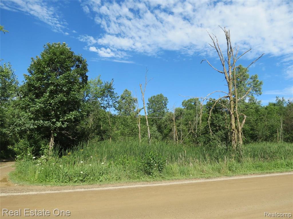 2200-ish Brewer Road Howell, MI 48855 - Photo 2 of 3
