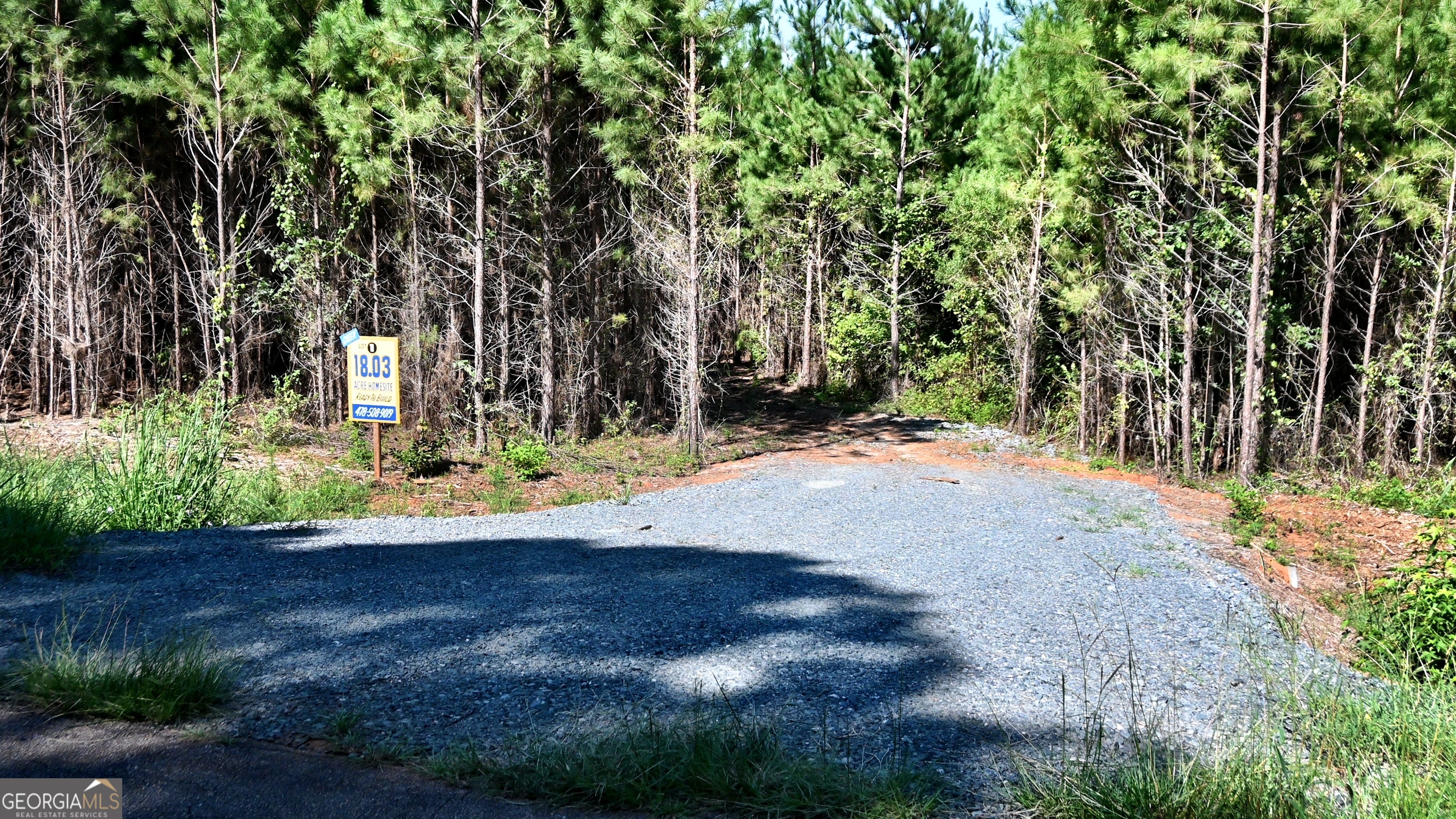2 Bagley Road Forsyth, GA 31029 - Photo 1 of 1