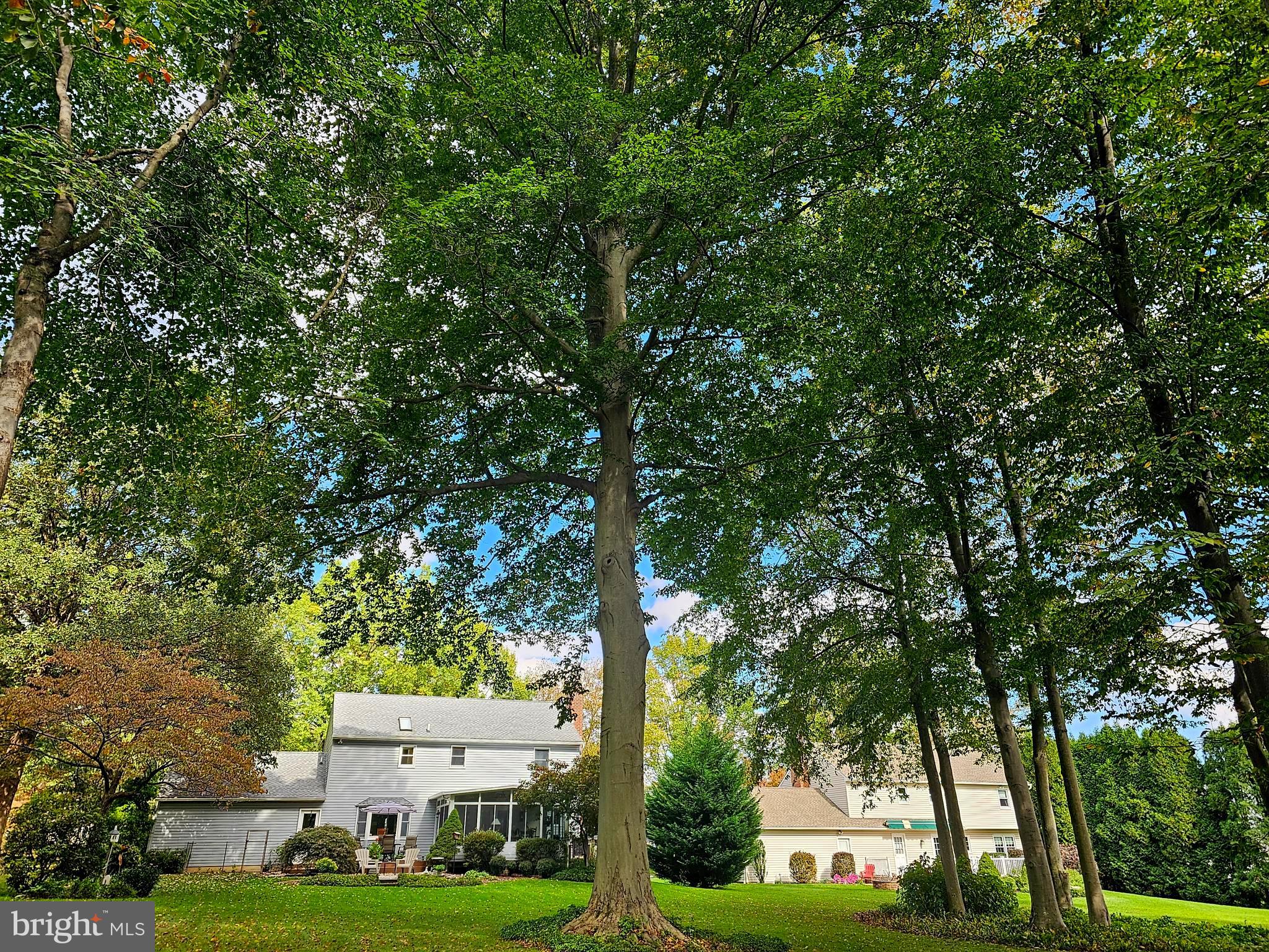 1120 Dodgson Road West Chester, PA 19382 - Photo 15 of 38 Amazing Trees!