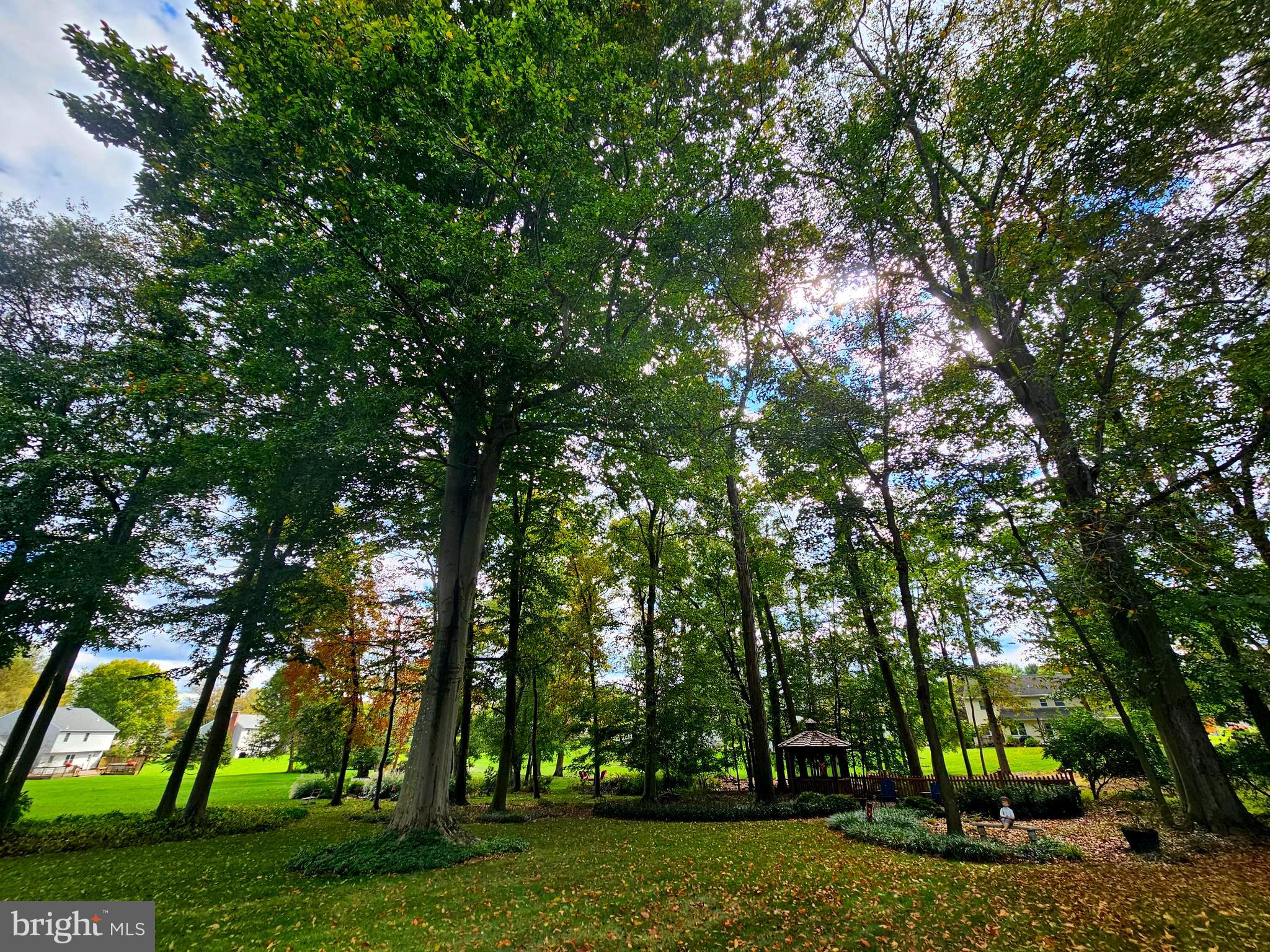 1120 Dodgson Road West Chester, PA 19382 - Photo 16 of 38 Shaded Canopy