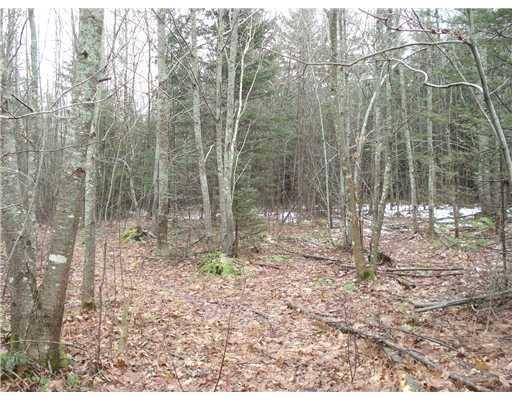 1084 Bayside Road Trenton, ME 04605 - Photo 19 of 19 Land.