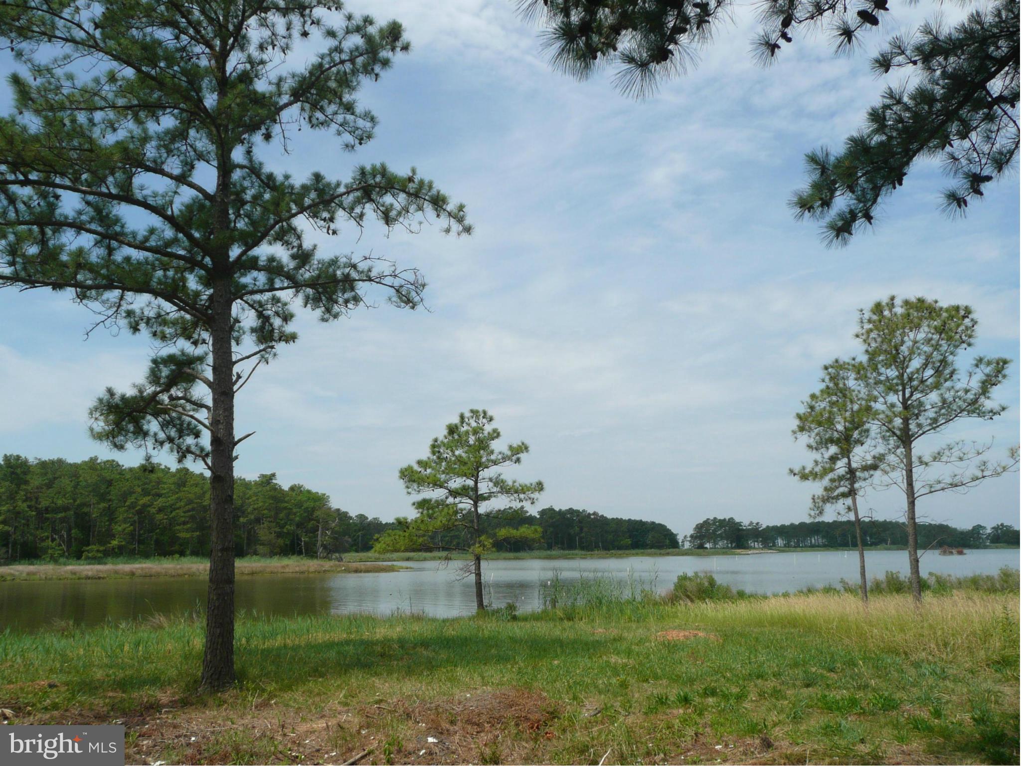 614 Twin Point Cove Road Cambridge, MD 21613 - Photo 1 of 4 Waterfront