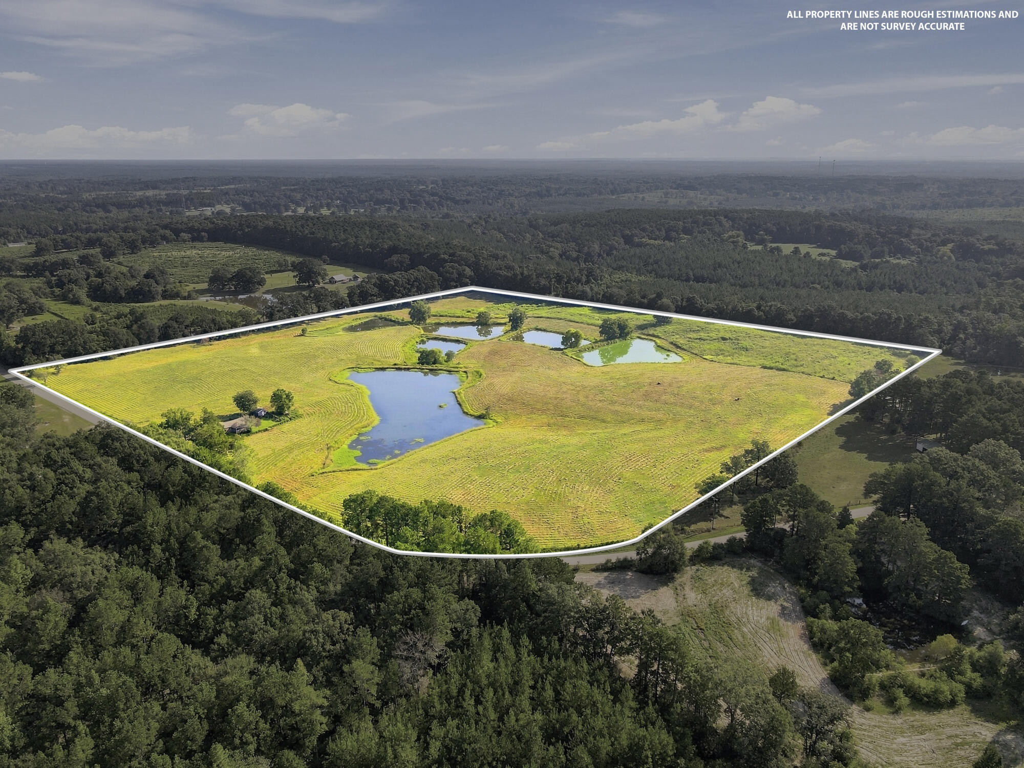 205 Clay Hill Road Richton, MS 39476 - Photo 11 of 23 Gallery Image 11