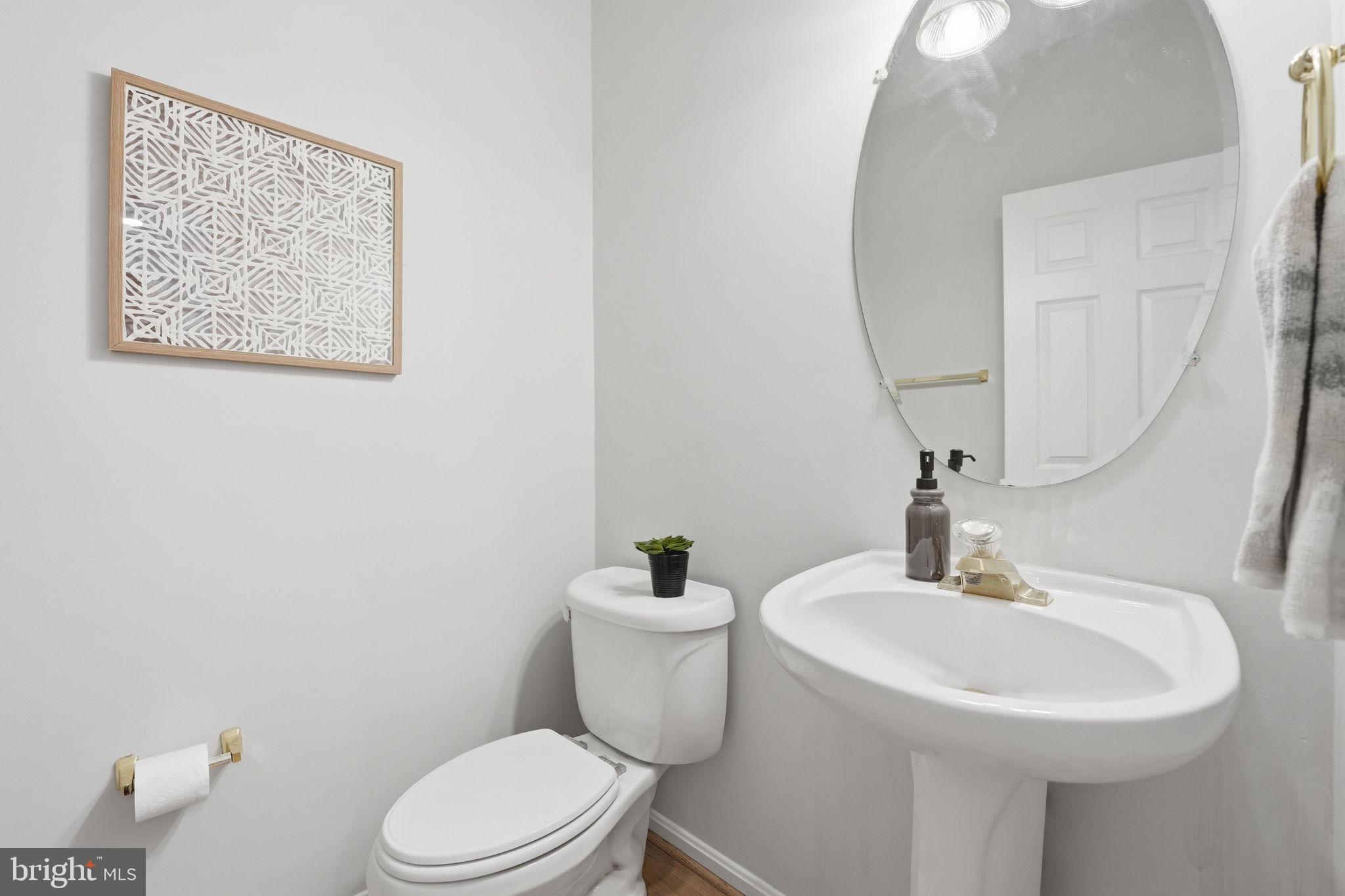 6075 Deer Ridge Trail Springfield, VA 22150 - Photo 39 of 61 a bathroom with a sink mirror and toilet