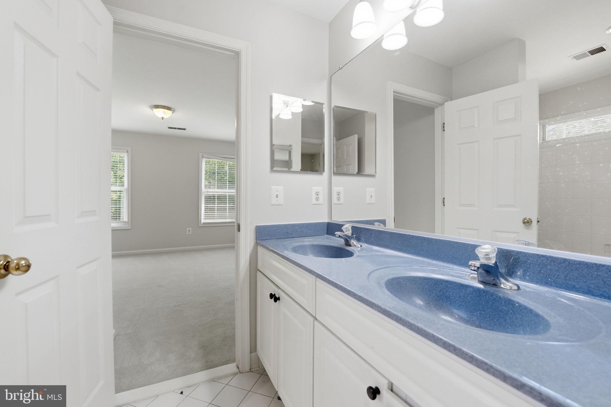 6075 Deer Ridge Trail Springfield, VA 22150 - Photo 43 of 61 a bathroom with a sink and a mirror