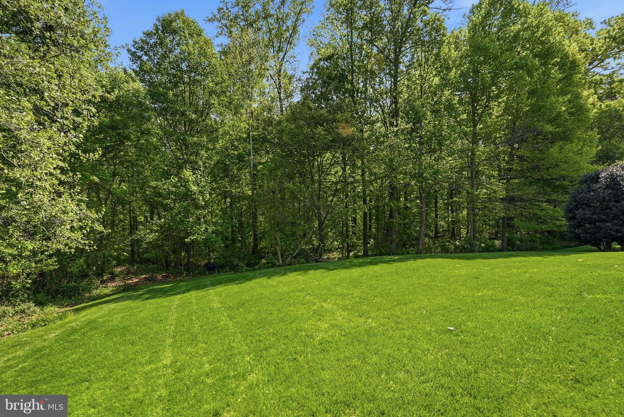 6075 Deer Ridge Trail Springfield, VA 22150 - Photo 60 of 61 a view of a green field with trees in the background