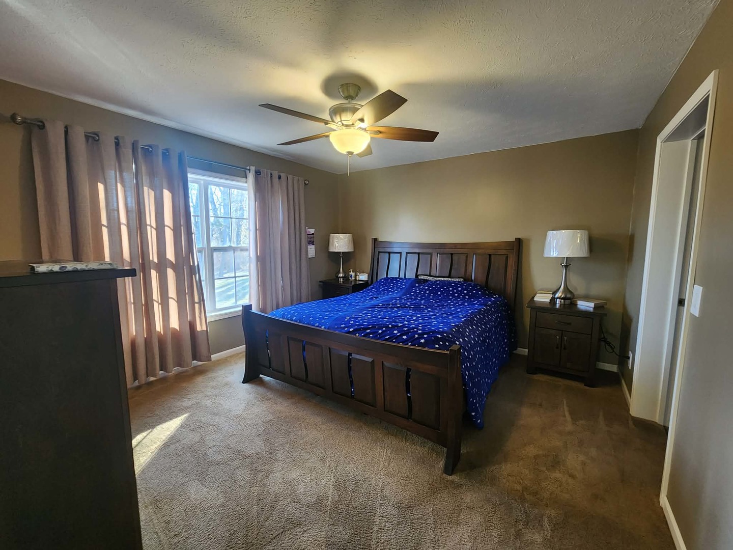 9721 Fox Hunters Road Mulkeytown, IL 62865 - Photo 21 of 32