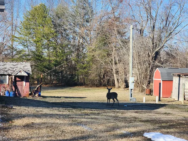 $275,000 | 9721 Fox Hunters Road, Mulkeytown, IL 62865